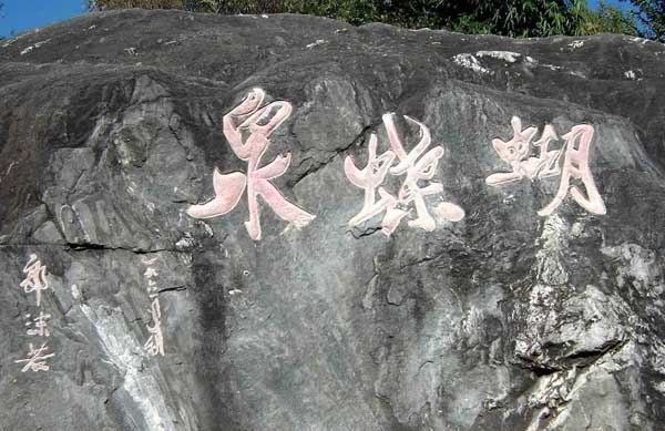 Dali Butterfly Spring