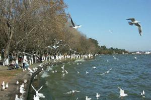Dianchi Lake