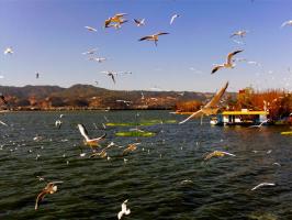 Dianchi Lake