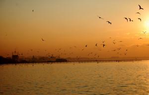 Dianchi Lake