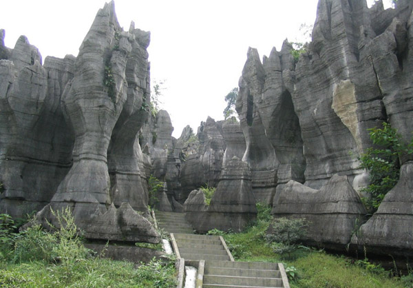 Stone Forest