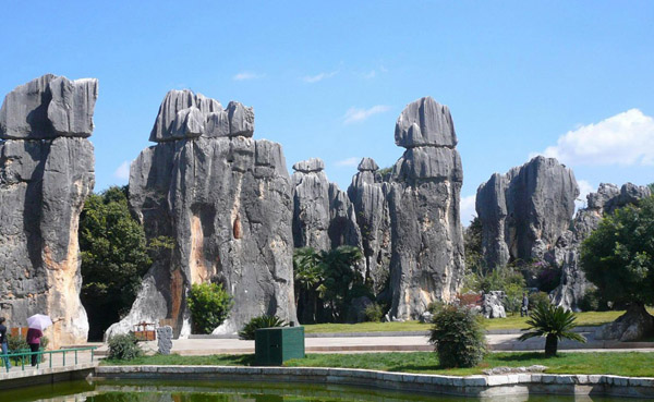 Stone Forest