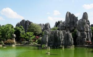 Stone Forest