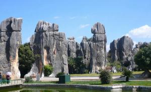 Stone Forest
