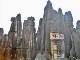 Stone Forest