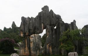 Stone Forest