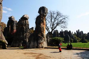 Stone Forest