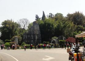 Stone Forest
