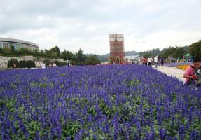 World Horticulture Expo Garden