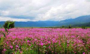Lashihai Wet Land