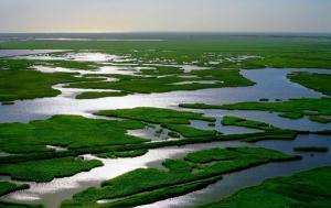Lashihai Wet Land