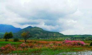 Lashihai Wet Land