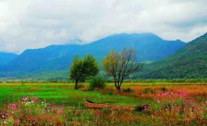Lashihai Wet Land