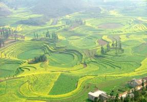 Qujing Luoping