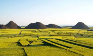 Qujing Luoping