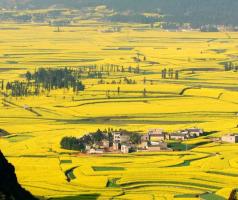 Qujing Luoping