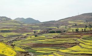 Qujing Luoping