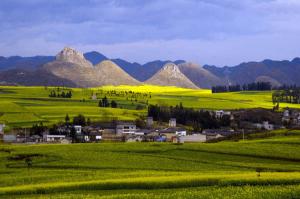 Qujing Luoping