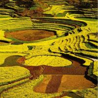 Qujing Luoping