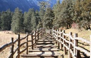 Lijiang Yunshanping