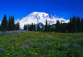 Things To Do In Yunnan