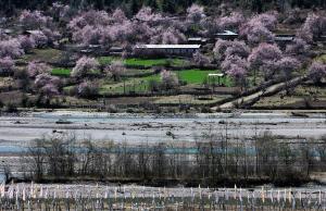 Three River Parallel Flow