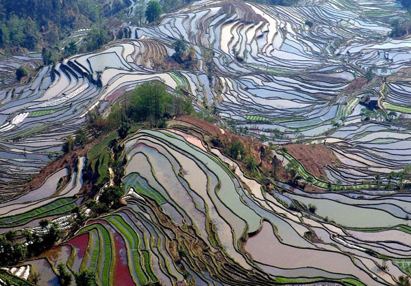 7-day Yunnan Kunming Jianshui Yuanyang Photography Tour