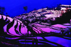 Yuanyang Hani Terraces