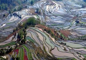 Yuanyang Hani Terraces