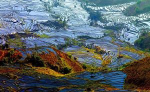 Yuanyang Hani Terraces