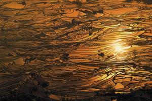 Yuanyang Hani Terraces