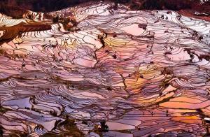 Yuanyang Hani Terraces
