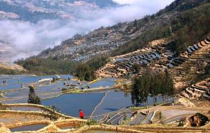 Yuanyang Hani Terraces