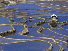 Yuanyang Hani Terraces