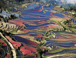 Yuanyang Hani Terraces