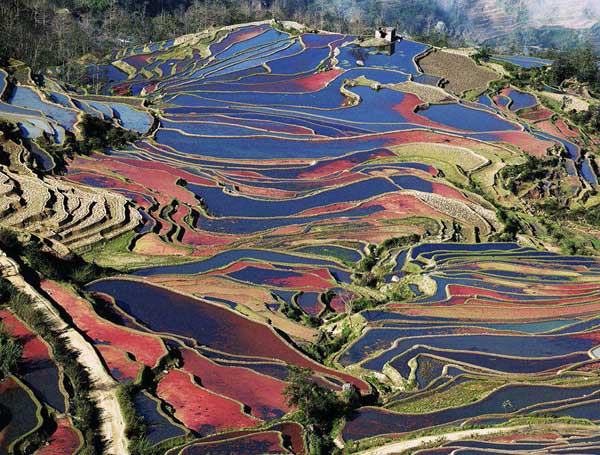 Yuanyang Hani Terraces