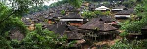Dai Village Garden