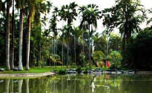 Dai Village Garden