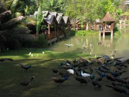 Dai Village Garden