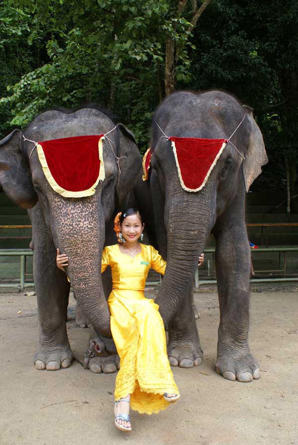 Jinghong Wild Elephant Valley