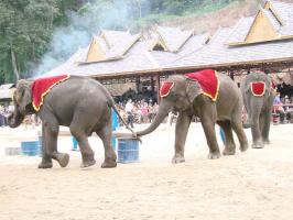 Jinghong Wild Elephant Valley