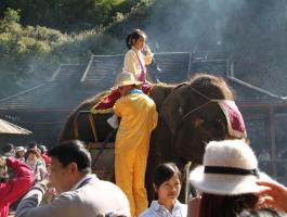 Jinghong Wild Elephant Valley