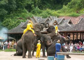 Jinghong Wild Elephant Valley