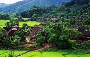 Xishuangbanna Tropical Rain Forest
