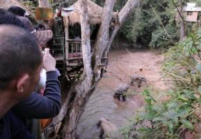 Xishuangbanna Tropical Rain Forest