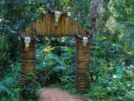 Xishuangbanna Tropical Rain Forest