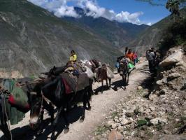 Yunnan Tea Horse Ancient Road