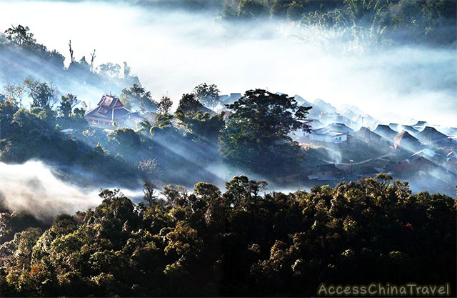 Top Six Yunnan Pu-erh Tea Mountains