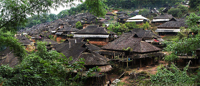 Yunnan Nannuo Tea Mountains