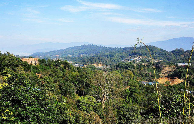 Yunnan Nannuo Pu-erh Tea Mountains